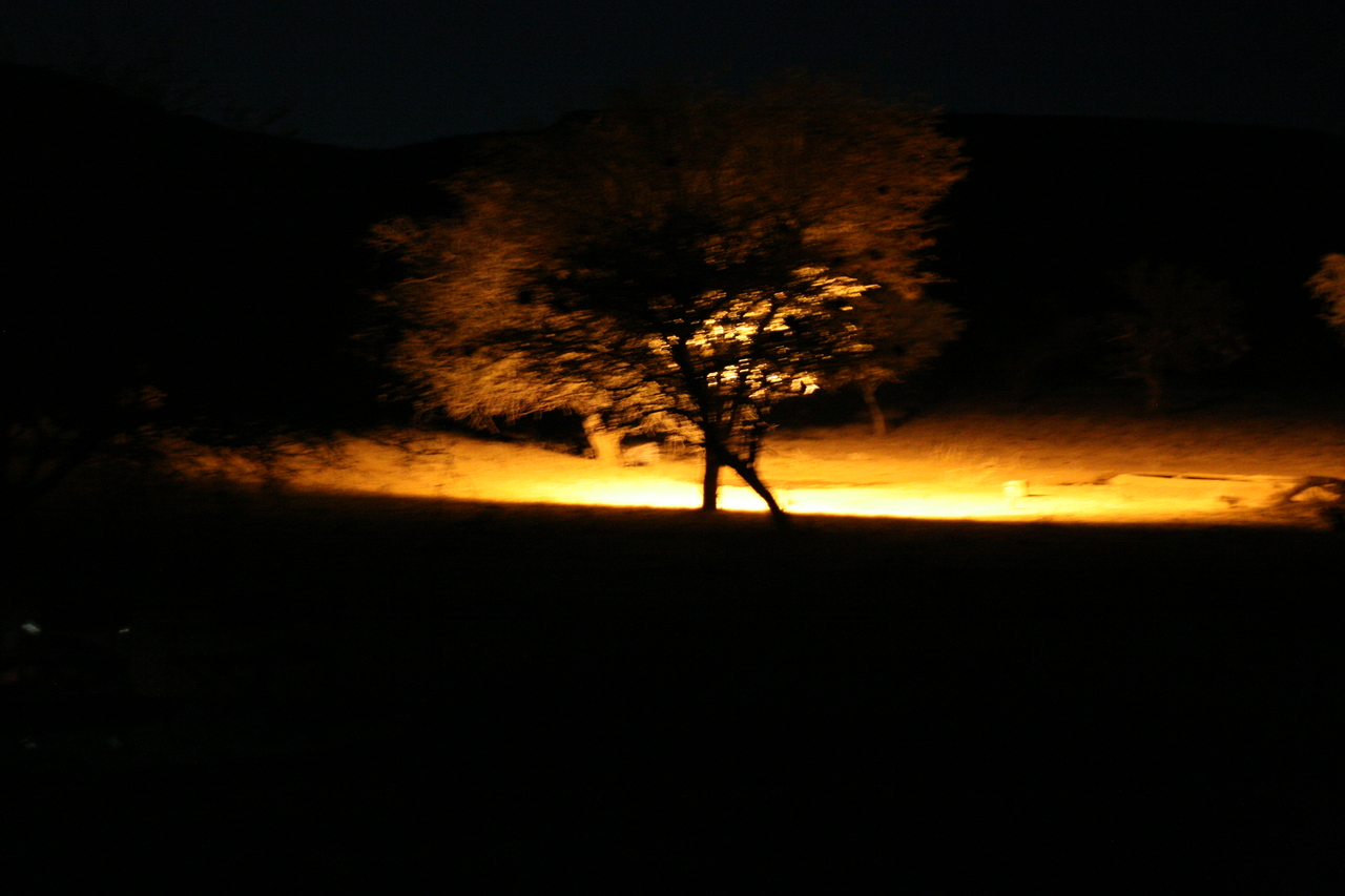 [313] 2016_06_21_14_36_17_Africa_Canon_EOS_30D_IMG_1735_00003.jpg