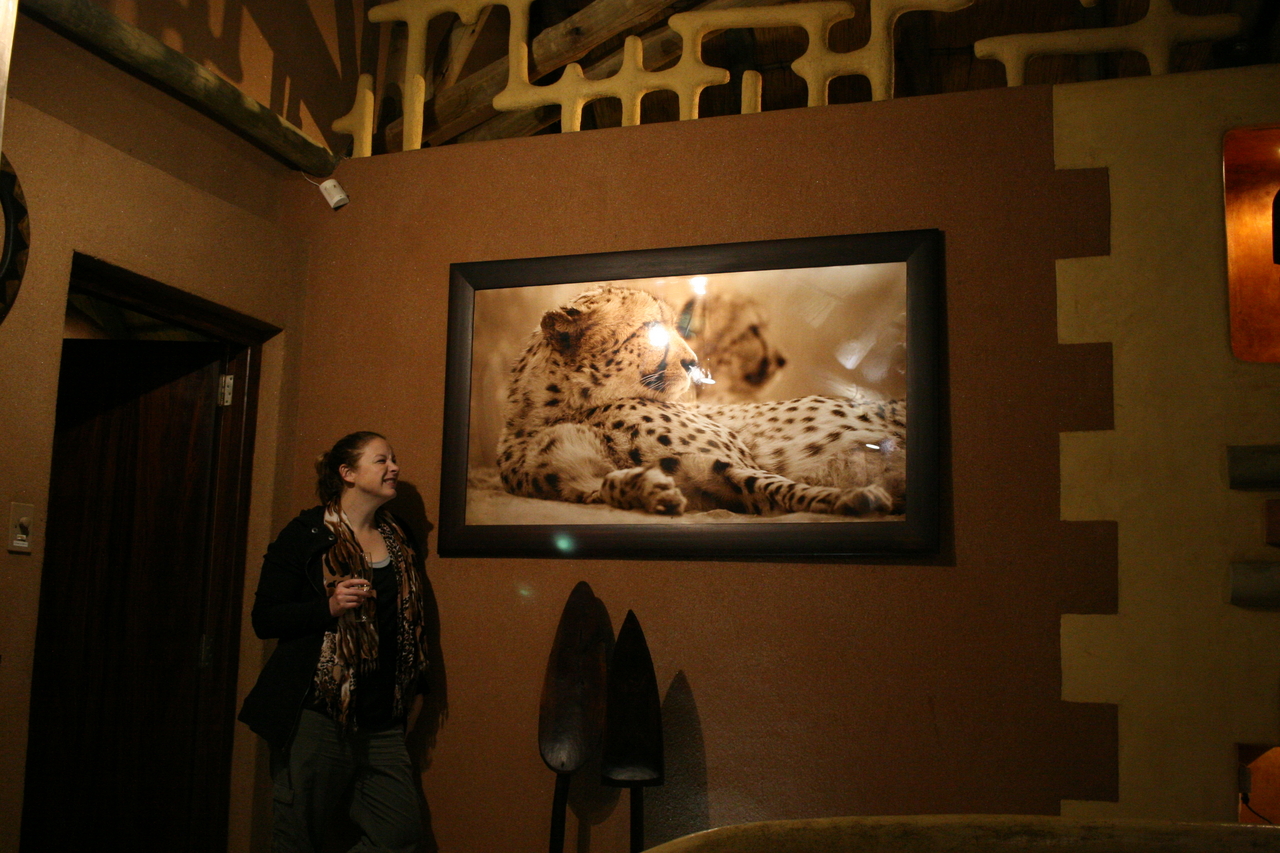 [316] 2016_06_21_14_38_12_Africa_Canon_EOS_30D_IMG_1736_00183.jpg