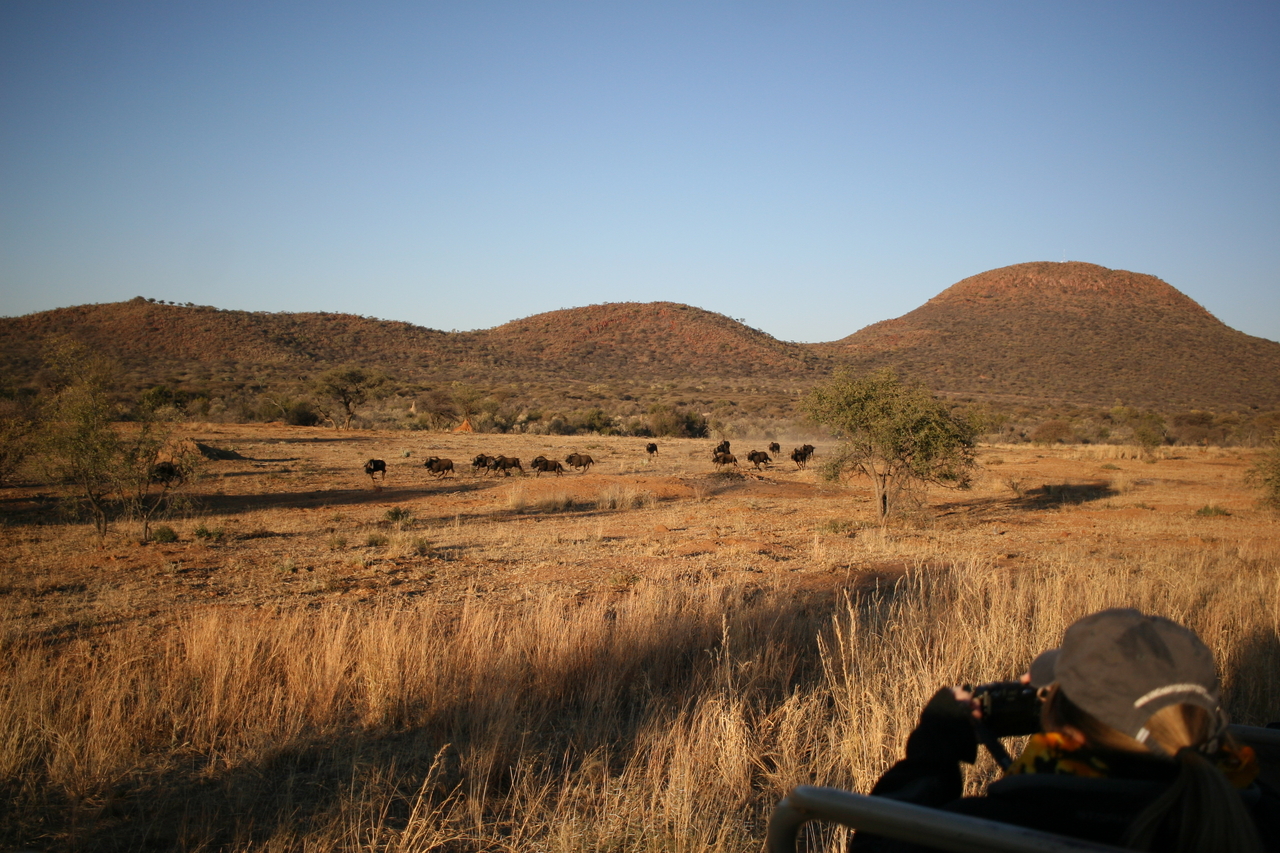 [632] 2016_06_22_02_18_13_Africa_Canon_EOS_30D_IMG_1755_00022.jpg