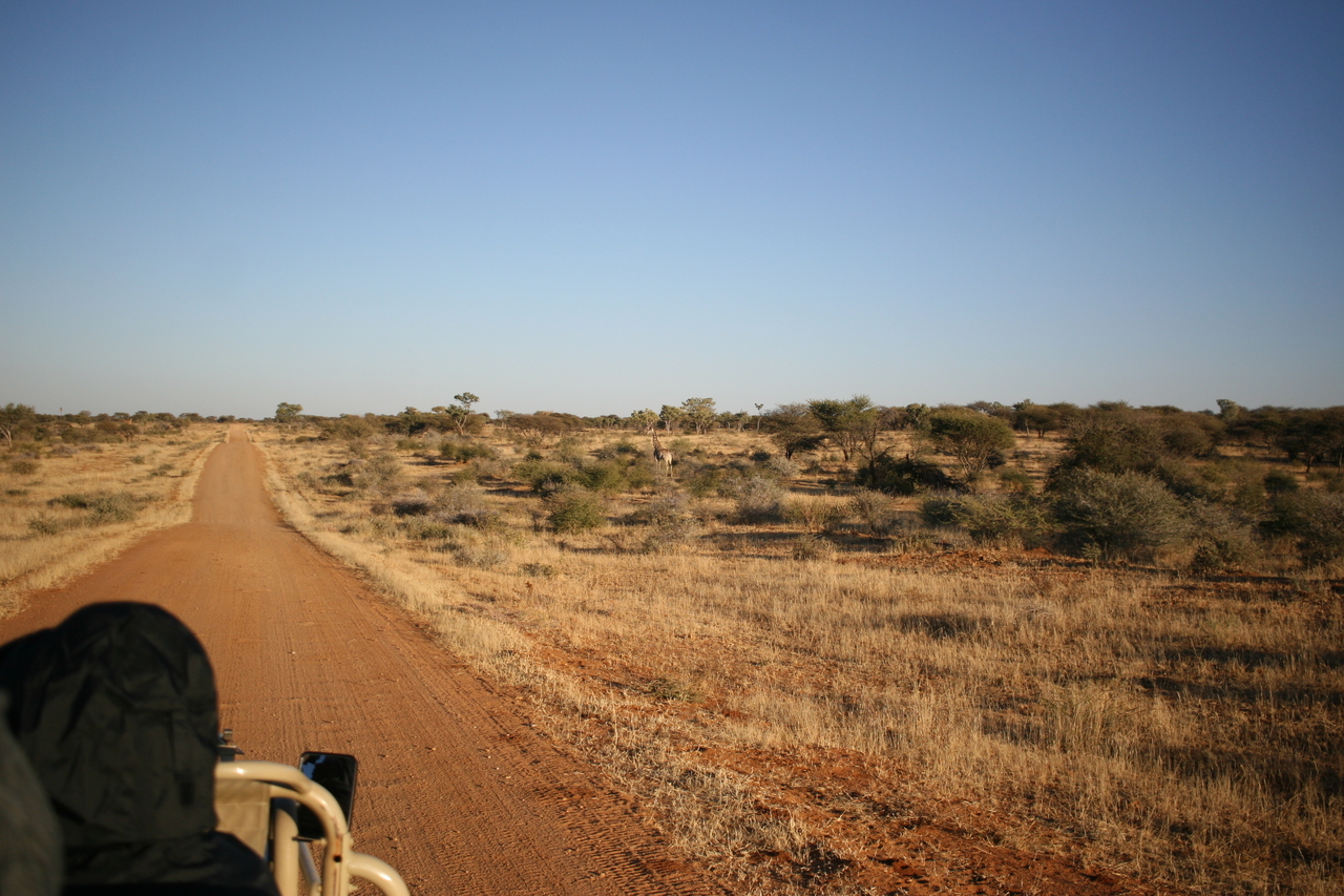 [669] 2016_06_22_02_26_29_Africa_Canon_EOS_30D_IMG_1758_00204.jpg