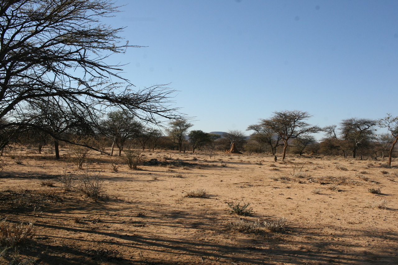 [1552] 2016_06_22_03_11_51_Africa_Canon_EOS_30D_IMG_1780_00226.jpg