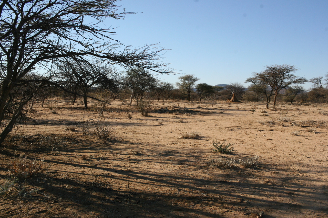 [1564] 2016_06_22_03_12_00_Africa_Canon_EOS_30D_IMG_1782_00049.jpg