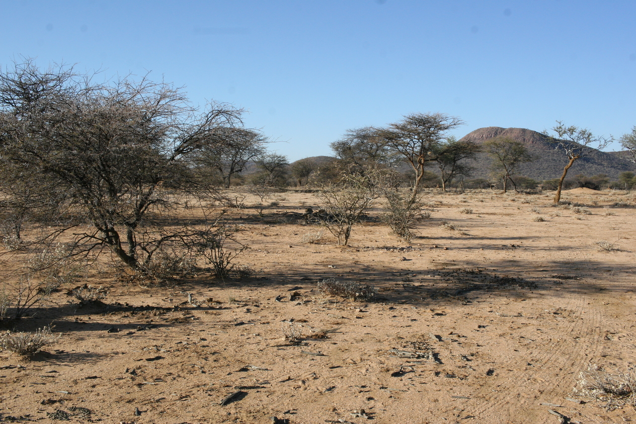 [1566] 2016_06_22_03_12_21_Africa_Canon_EOS_30D_IMG_1783_00050.jpg