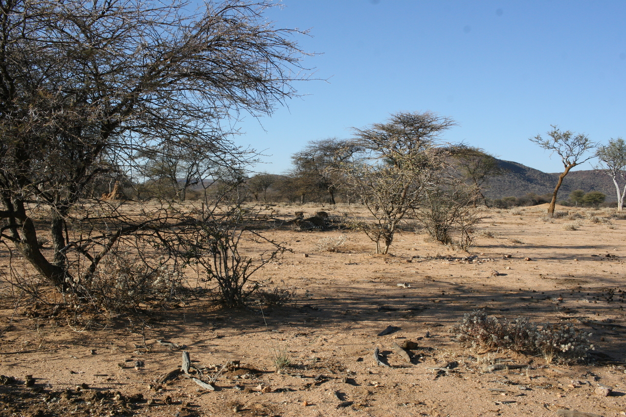 [1568] 2016_06_22_03_12_40_Africa_Canon_EOS_30D_IMG_1784_00051.jpg