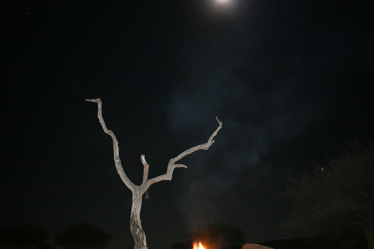 [3710] 2016_06_22_17_26_57_Africa_Canon_EOS_30D_IMG_1813_00078.jpg