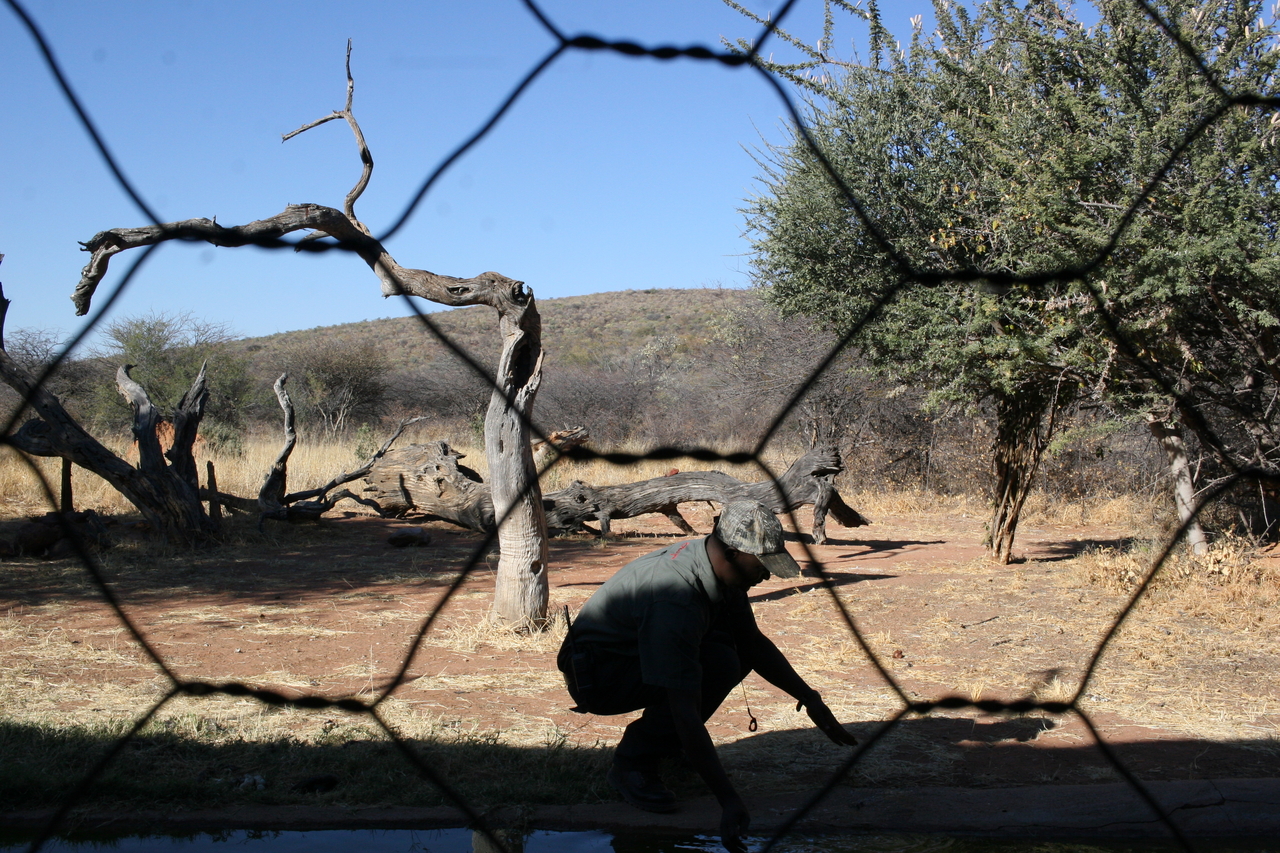 [5879] 2016_06_23_10_27_31_Africa_Canon_EOS_30D_IMG_1827_00092.jpg