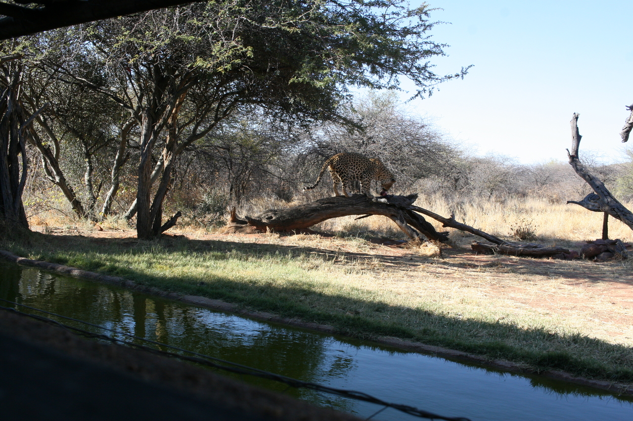 [5990] 2016_06_23_10_29_29_Africa_Canon_EOS_30D_IMG_1831_00275.jpg