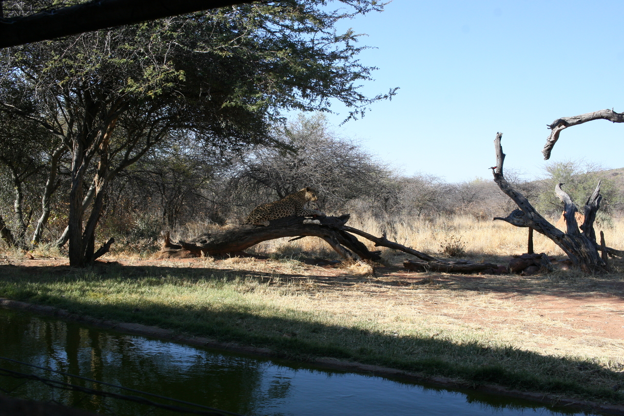 [6012] 2016_06_23_10_30_04_Africa_Canon_EOS_30D_IMG_1838_00103.jpg