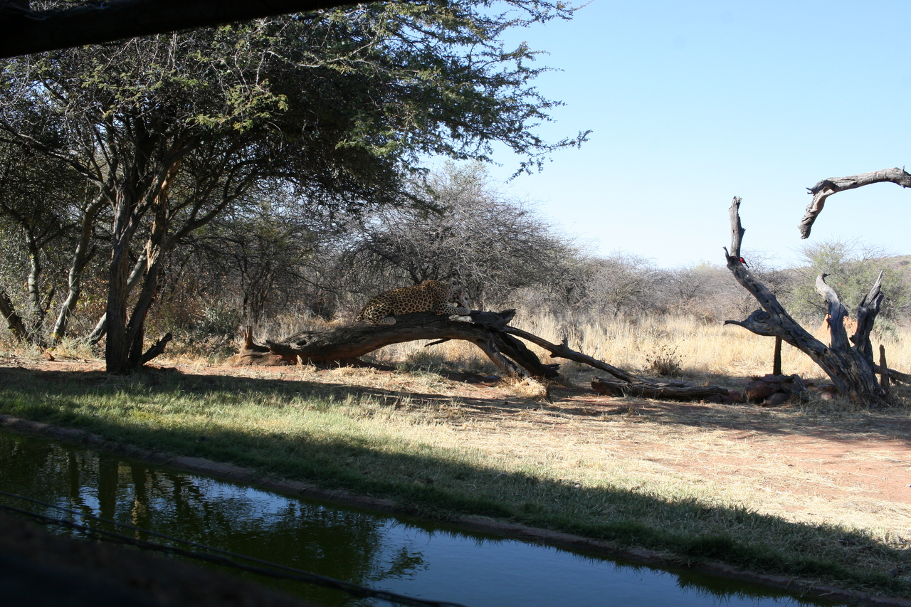 [6044] 2016_06_23_10_30_57_Africa_Canon_EOS_30D_IMG_1842_00286.jpg