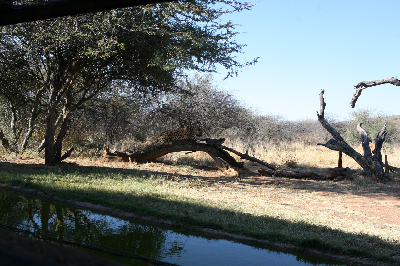 [6050] 2016_06_23_10_31_35_Africa_Canon_EOS_30D_IMG_1844_00109.jpg