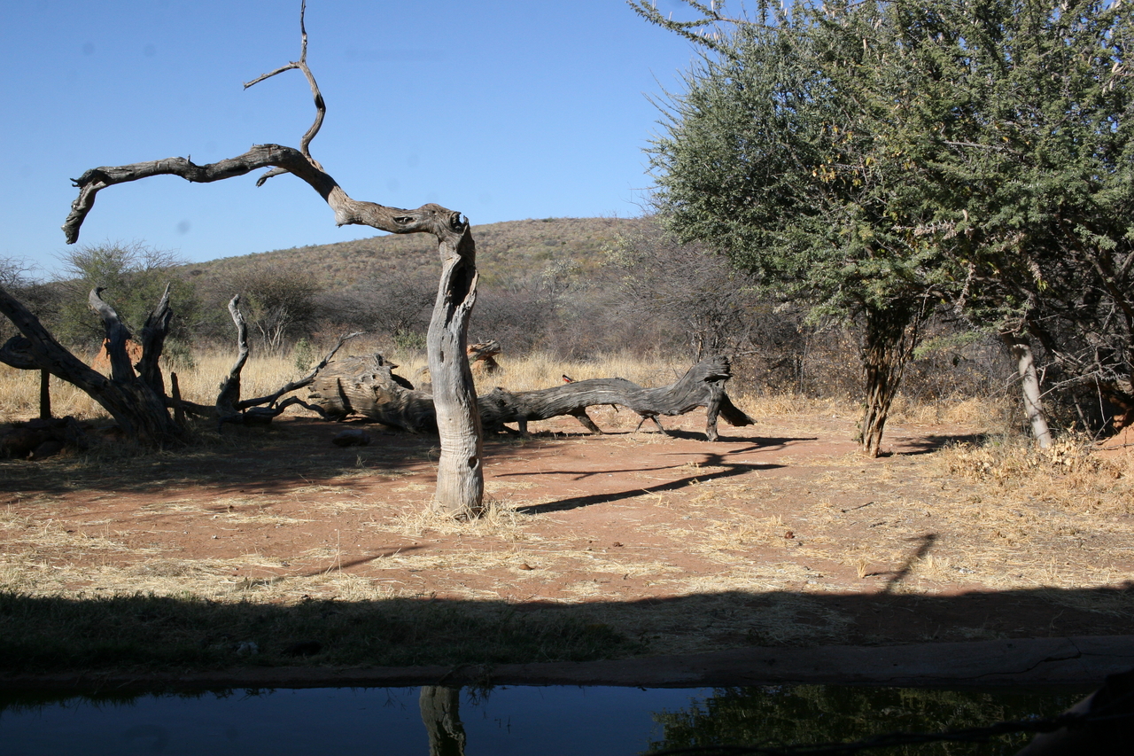 [6099] 2016_06_23_10_33_11_Africa_Canon_EOS_30D_IMG_1850_00294.jpg