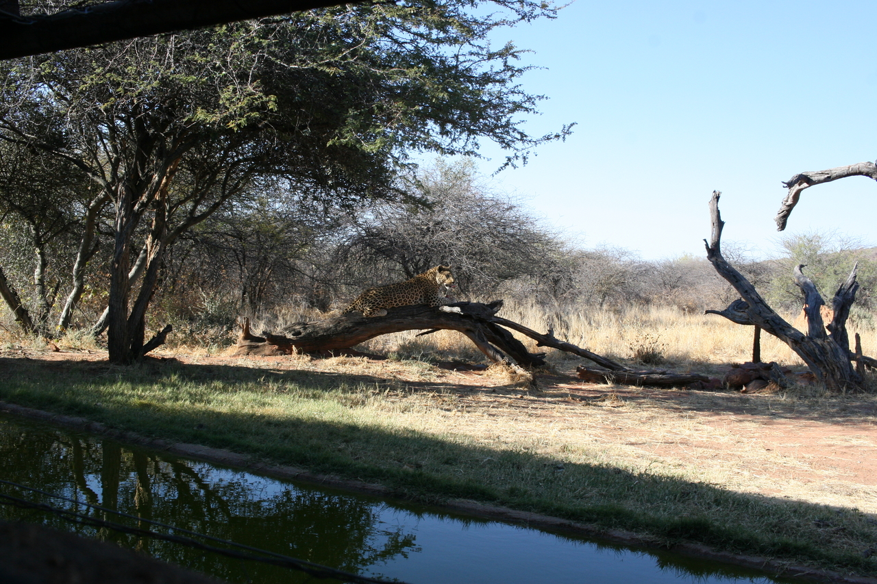 [6104] 2016_06_23_10_36_36_Africa_Canon_EOS_30D_IMG_1853_00118.jpg