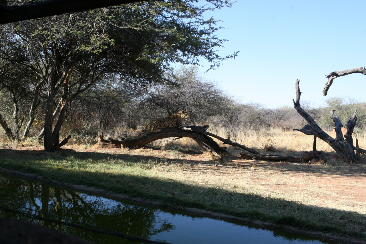 [6107] 2016_06_23_10_36_36_Africa_Canon_EOS_30D_IMG_1854_00298.jpg