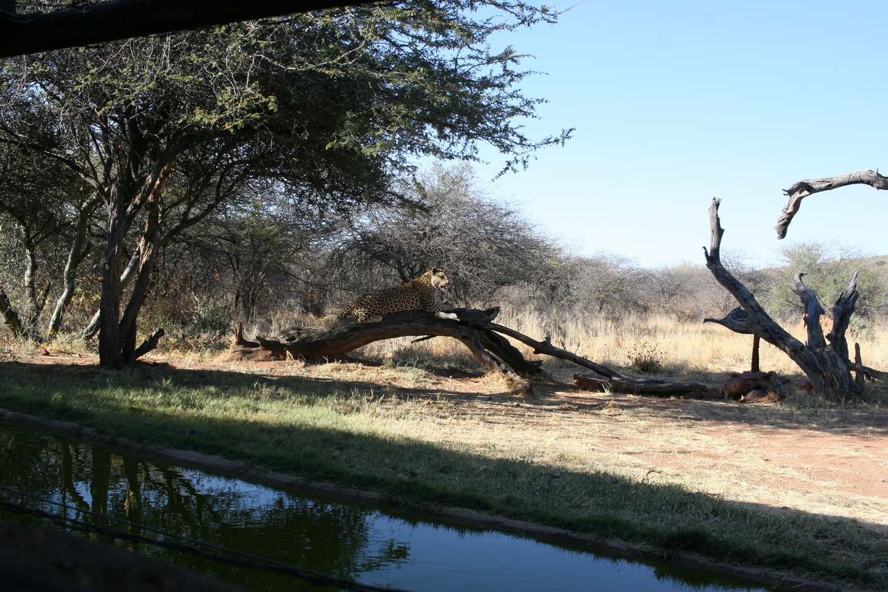 [6110] 2016_06_23_10_37_51_Africa_Canon_EOS_30D_IMG_1856_00121.jpg