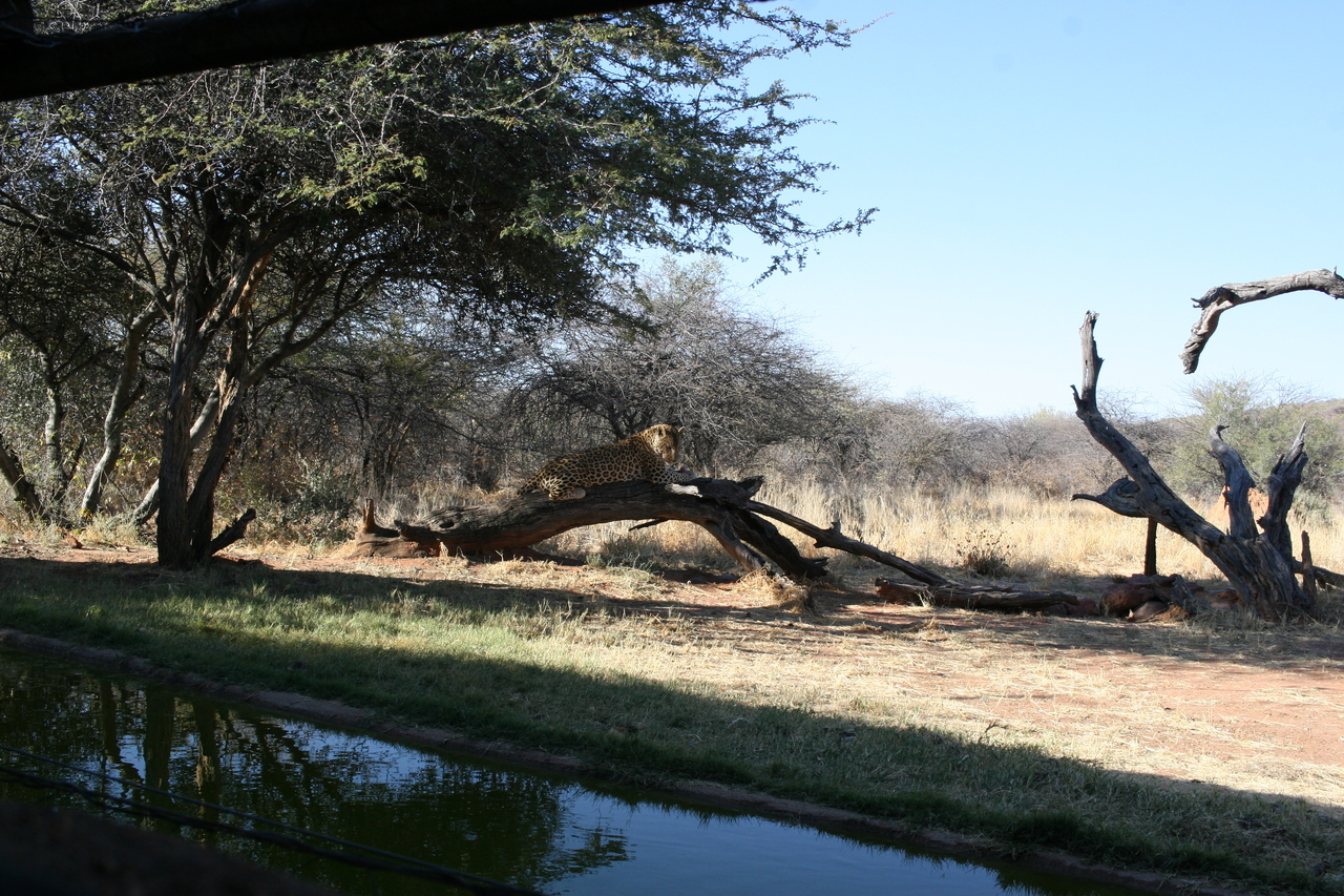 [6113] 2016_06_23_10_37_52_Africa_Canon_EOS_30D_IMG_1857_00301.jpg