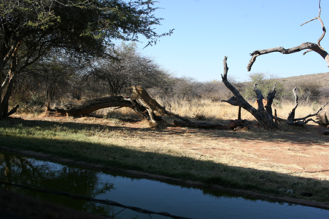 [6118] 2016_06_23_10_38_00_Africa_Canon_EOS_30D_IMG_1860_00125.jpg