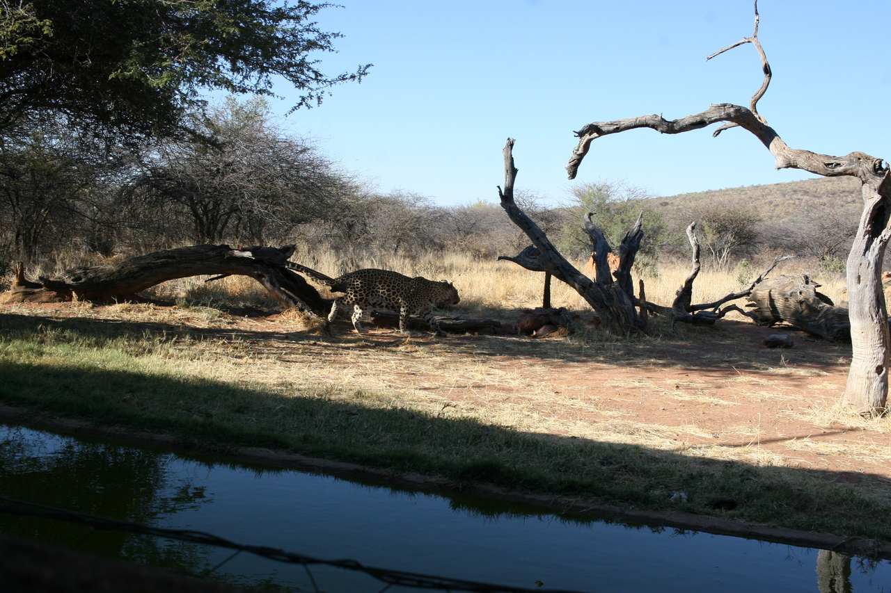 [6122] 2016_06_23_10_38_02_Africa_Canon_EOS_30D_IMG_1862_00127.jpg