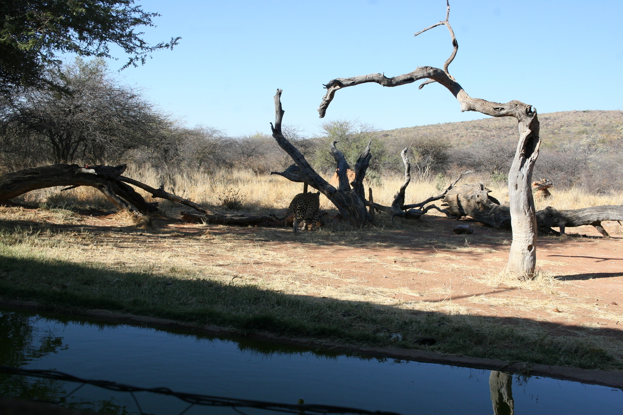 [6125] 2016_06_23_10_38_07_Africa_Canon_EOS_30D_IMG_1863_00307.jpg