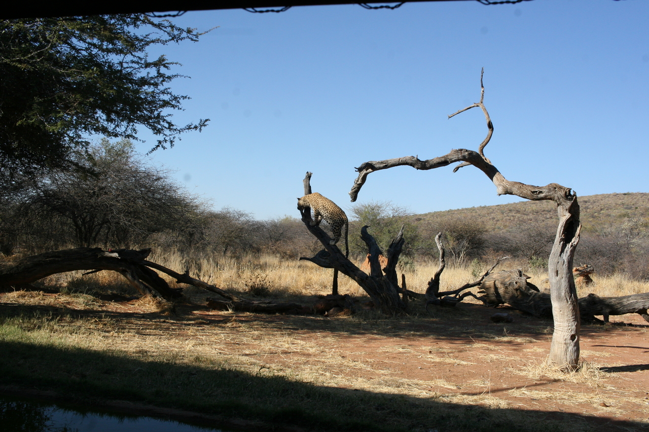 [6135] 2016_06_23_10_38_31_Africa_Canon_EOS_30D_IMG_1868_00312.jpg