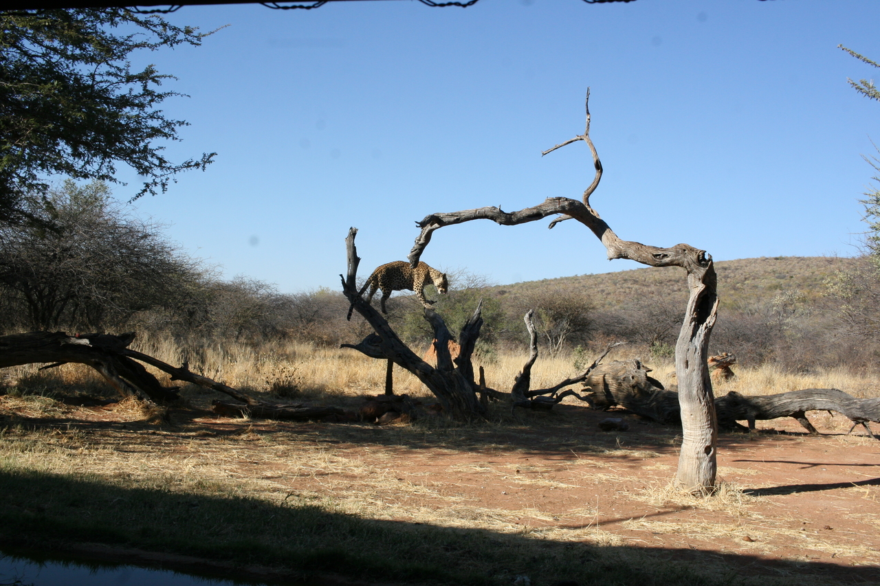 [6138] 2016_06_23_10_38_40_Africa_Canon_EOS_30D_IMG_1870_00135.jpg