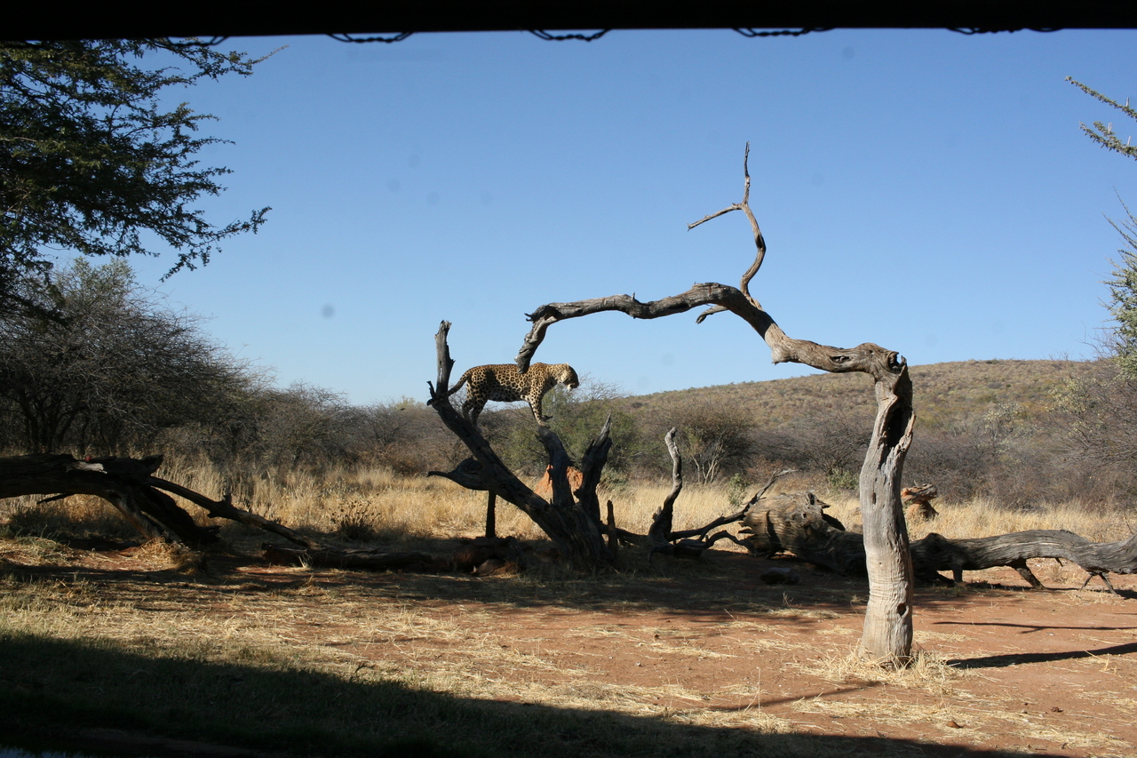 [6143] 2016_06_23_10_38_46_Africa_Canon_EOS_30D_IMG_1872_00316.jpg