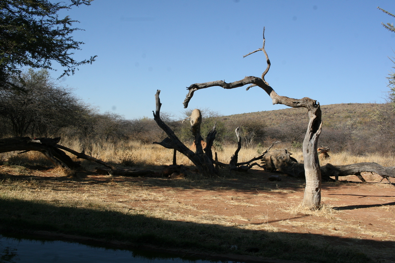 [6148] 2016_06_23_10_38_51_Africa_Canon_EOS_30D_IMG_1875_00140.jpg