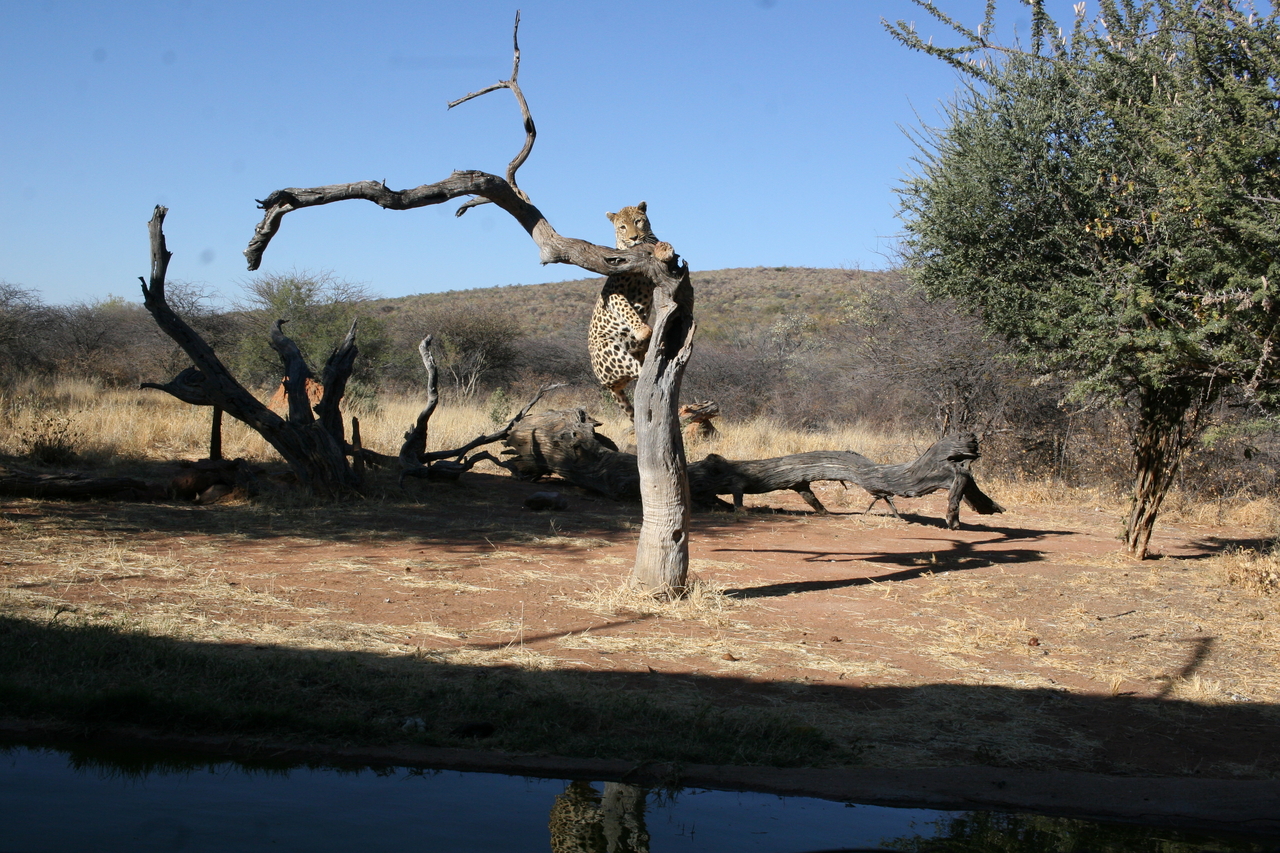 [6159] 2016_06_23_10_39_26_Africa_Canon_EOS_30D_IMG_1880_00324.jpg