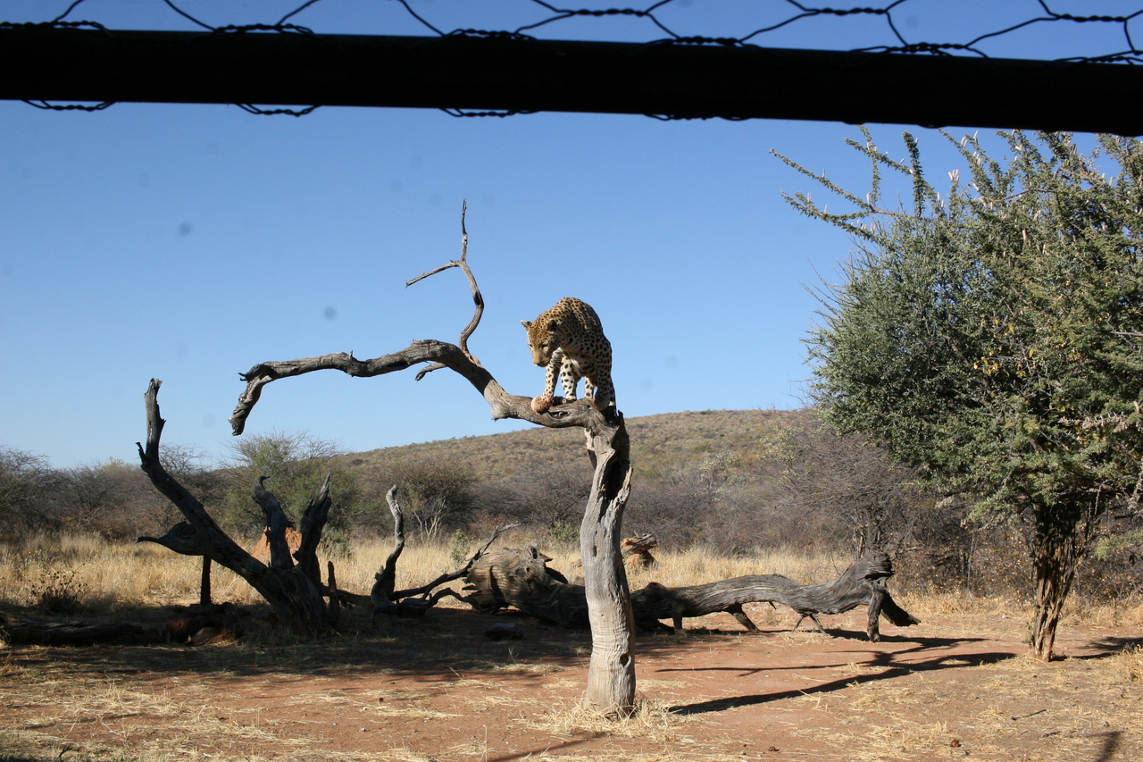 [6160] 2016_06_23_10_39_28_Africa_Canon_EOS_30D_IMG_1881_00146.jpg