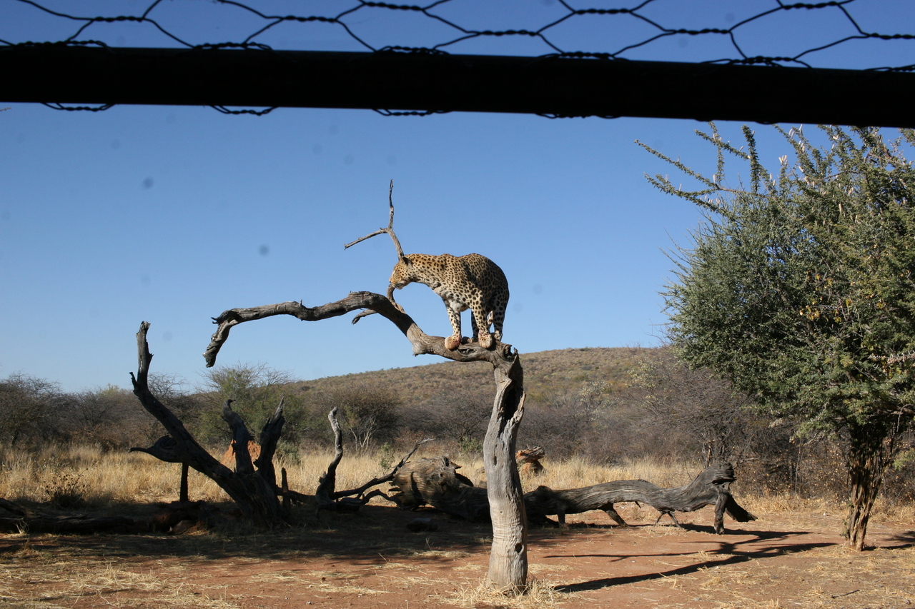 [6163] 2016_06_23_10_39_30_Africa_Canon_EOS_30D_IMG_1882_00326.jpg