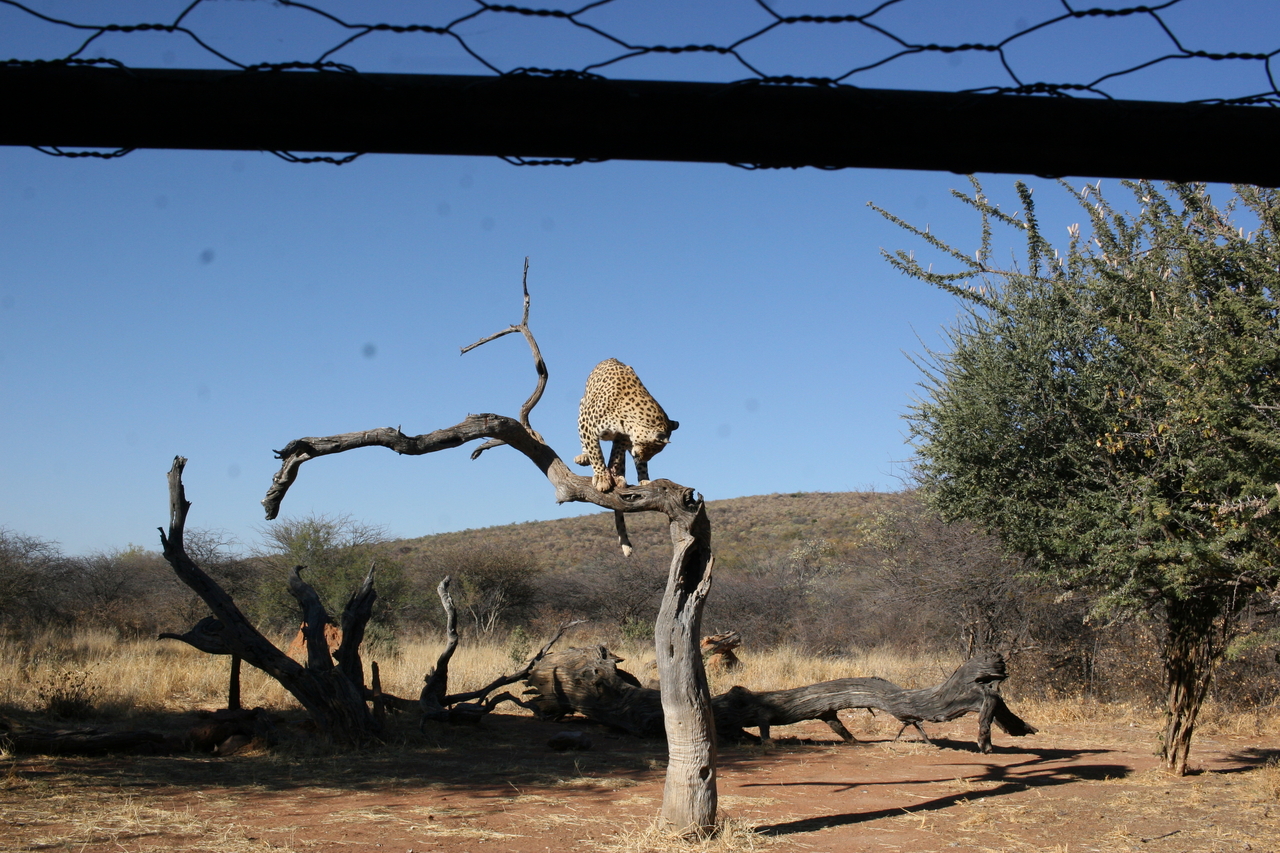 [6164] 2016_06_23_10_39_34_Africa_Canon_EOS_30D_IMG_1883_00148.jpg