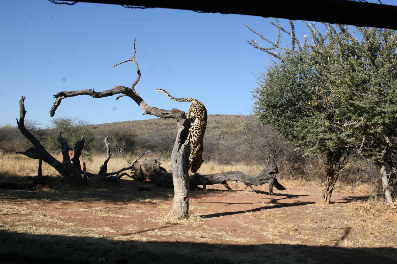 [6169] 2016_06_23_10_39_42_Africa_Canon_EOS_30D_IMG_1885_00329.jpg