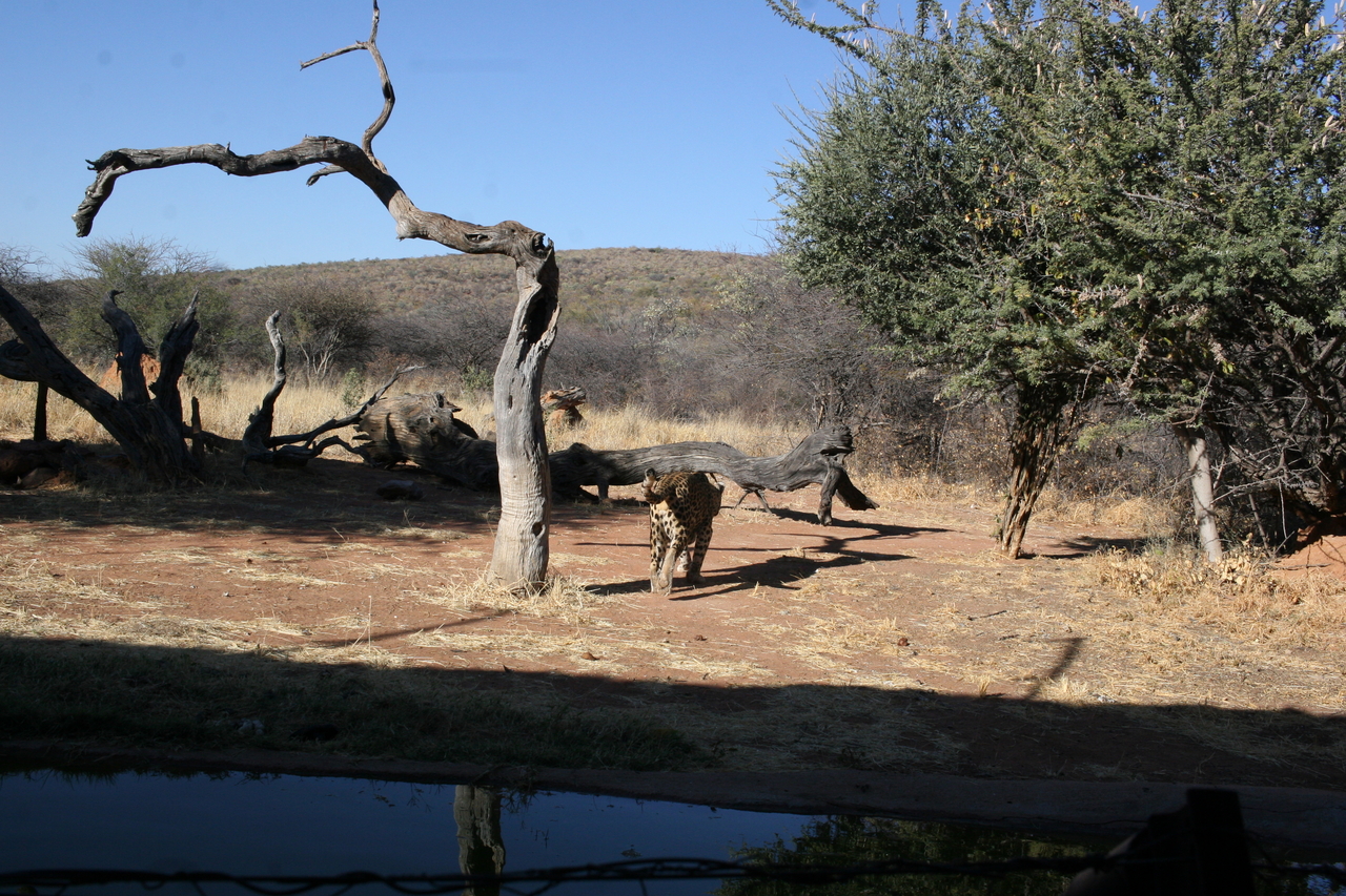 [6171] 2016_06_23_10_39_44_Africa_Canon_EOS_30D_IMG_1886_00330.jpg