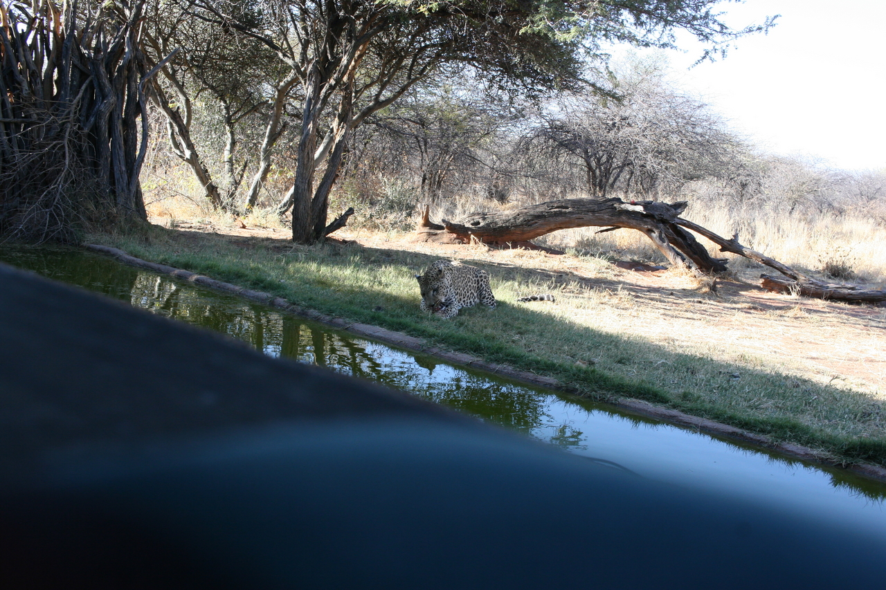 [6185] 2016_06_23_10_40_28_Africa_Canon_EOS_30D_IMG_1893_00337.jpg