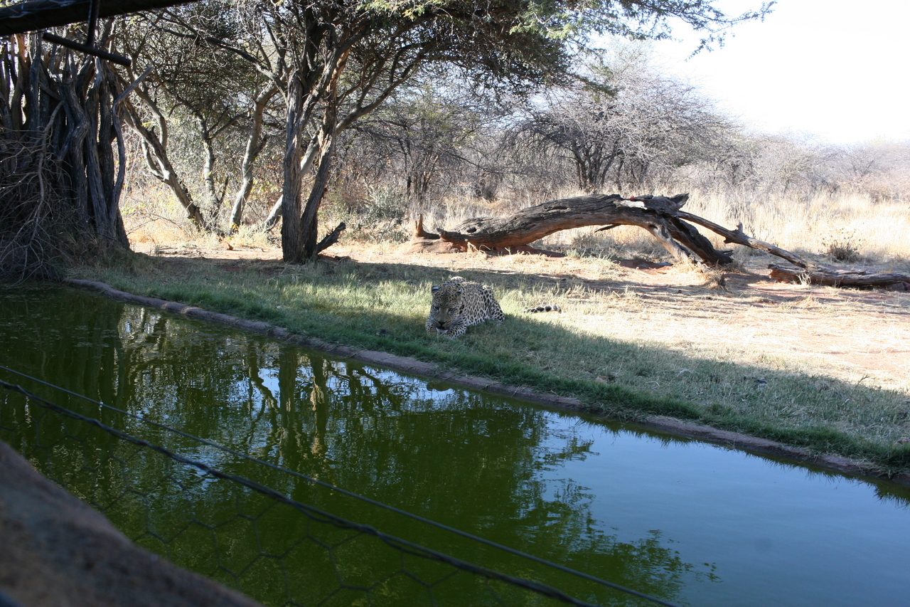 [6186] 2016_06_23_10_40_38_Africa_Canon_EOS_30D_IMG_1894_00159.jpg