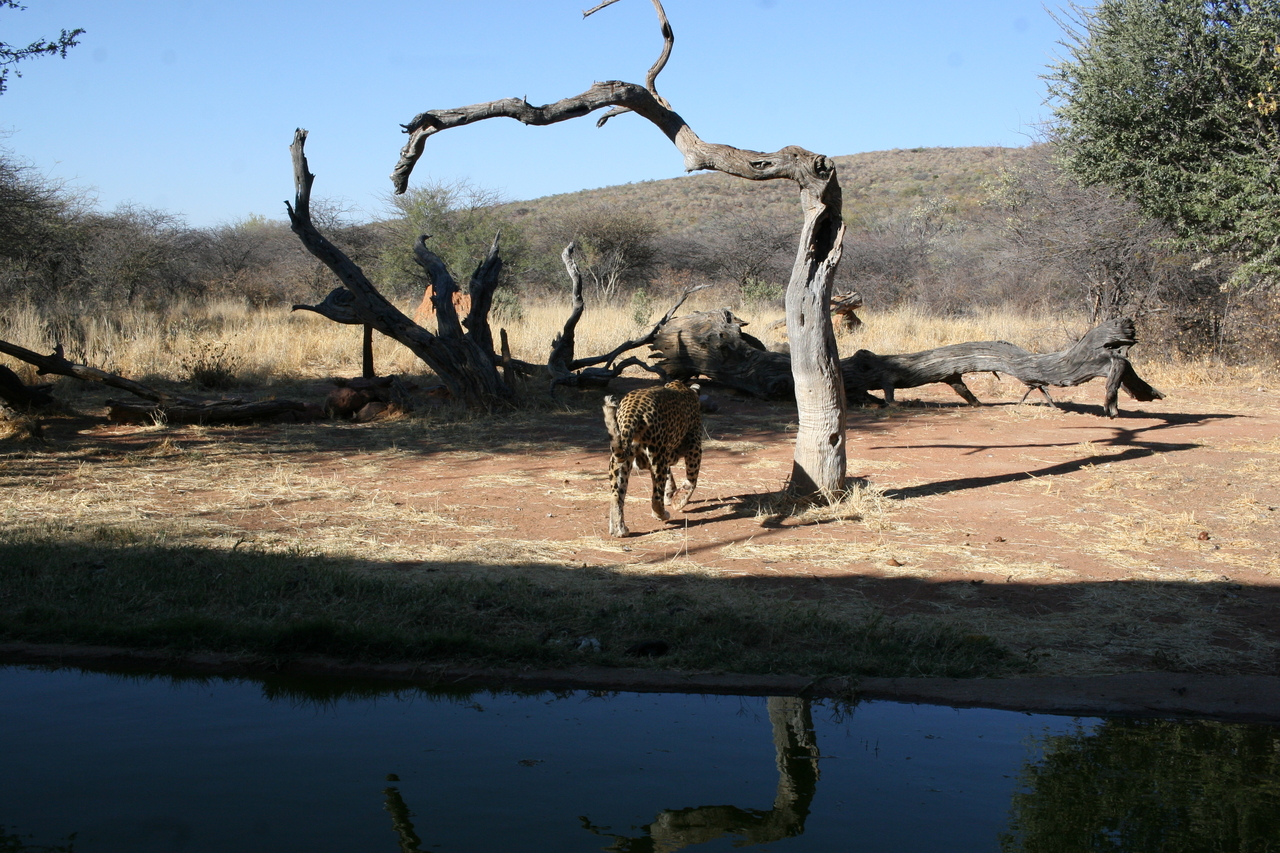 [6196] 2016_06_23_10_41_18_Africa_Canon_EOS_30D_IMG_1899_00164.jpg