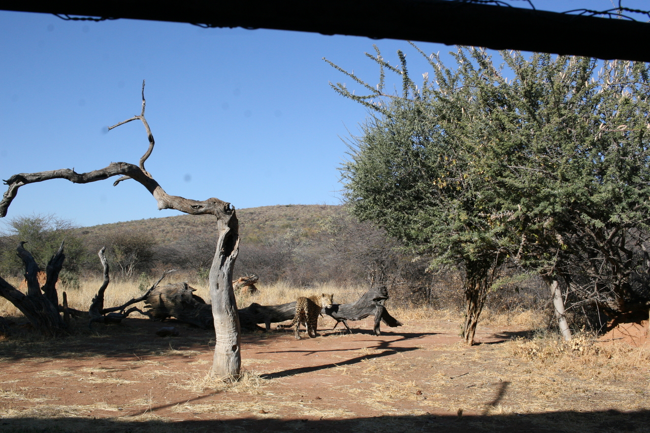 [6198] 2016_06_23_10_41_42_Africa_Canon_EOS_30D_IMG_1900_00165.jpg