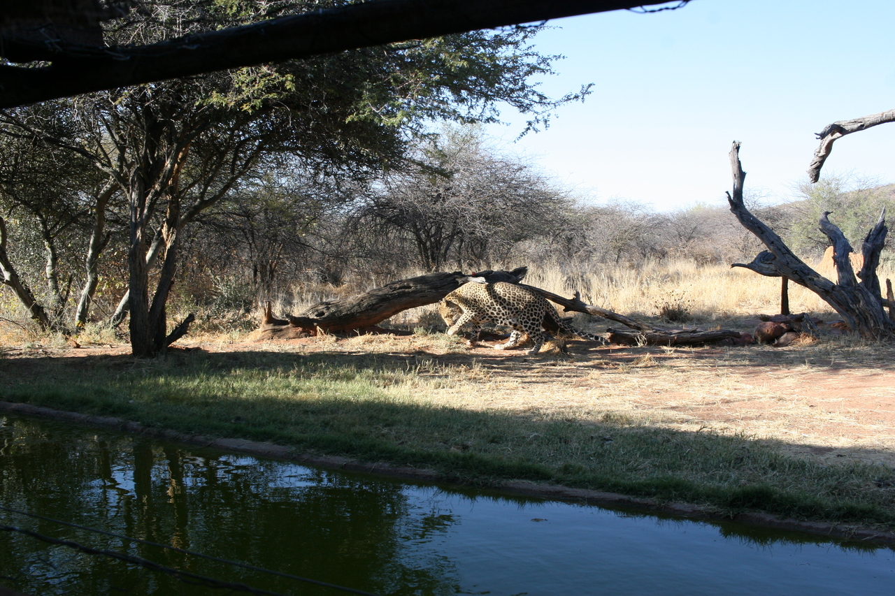 [6204] 2016_06_23_10_42_34_Africa_Canon_EOS_30D_IMG_1903_00168.jpg