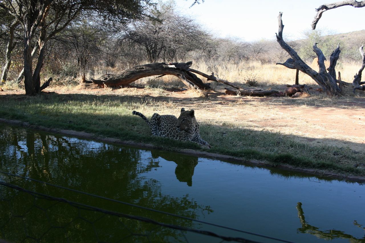[6211] 2016_06_23_10_43_13_Africa_Canon_EOS_30D_IMG_1906_00350.jpg