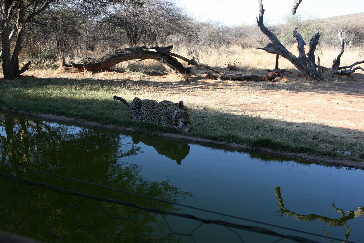 [6213] 2016_06_23_10_43_15_Africa_Canon_EOS_30D_IMG_1907_00351.jpg