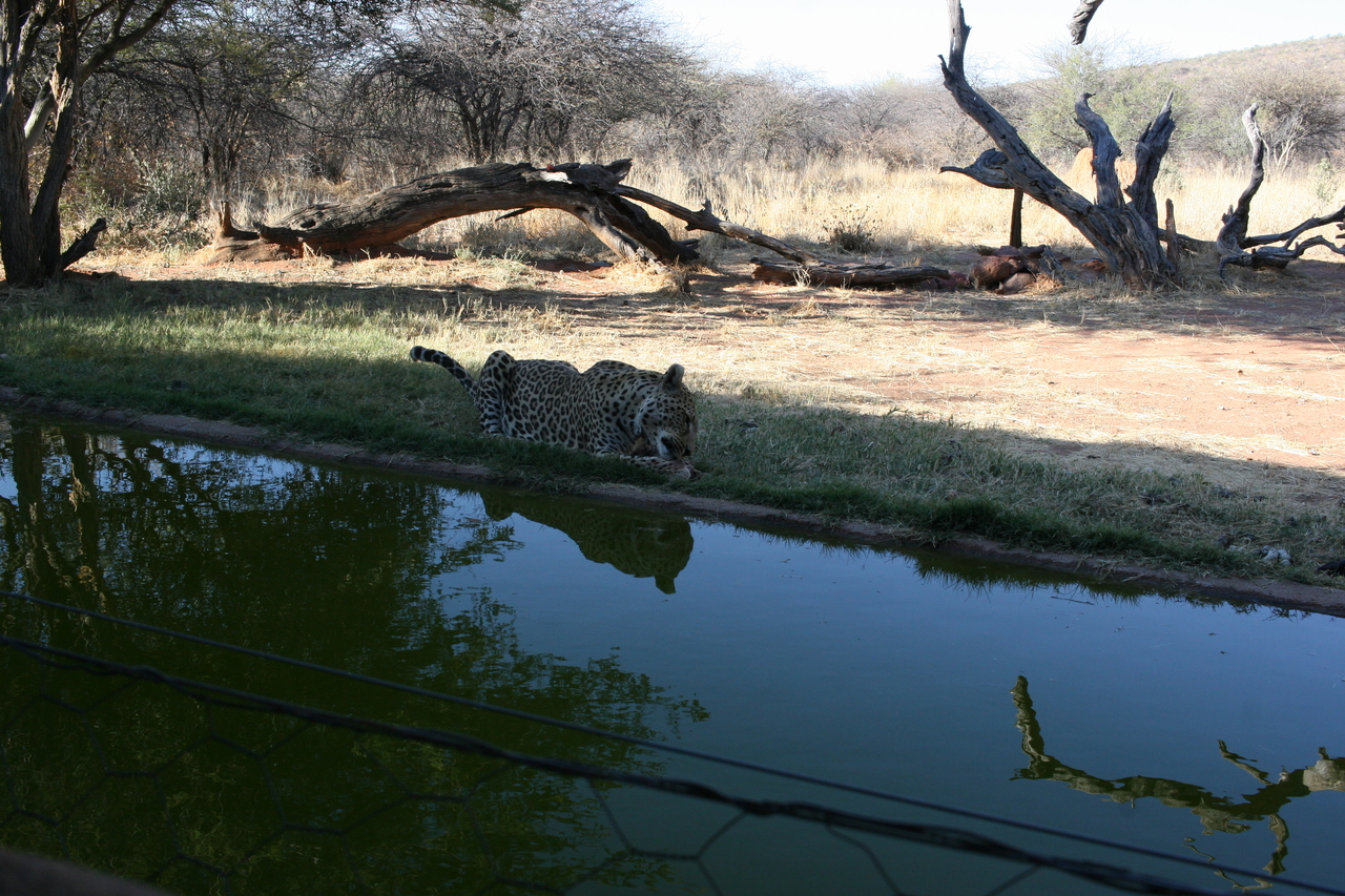 [6215] 2016_06_23_10_43_18_Africa_Canon_EOS_30D_IMG_1908_00352.jpg