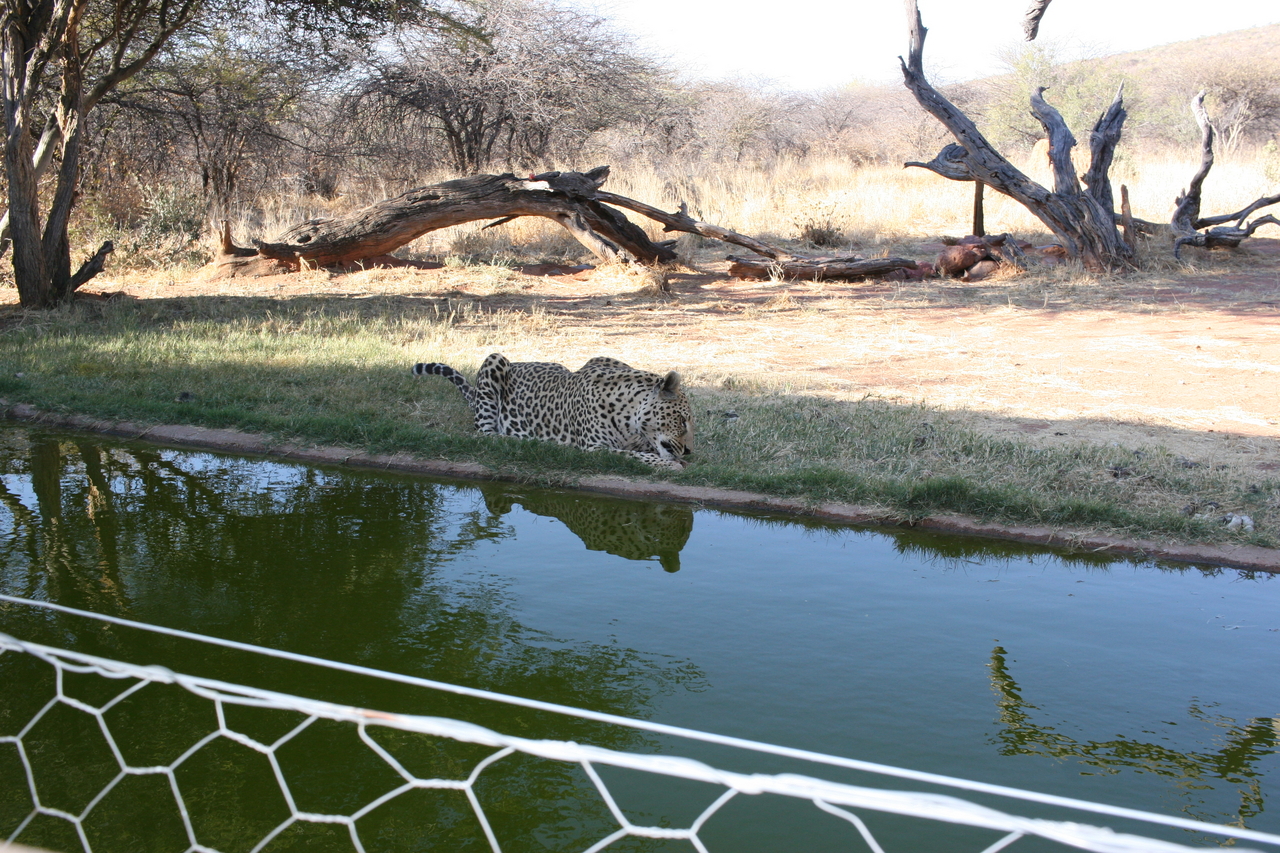 [6225] 2016_06_23_10_43_41_Africa_Canon_EOS_30D_IMG_1913_00357.jpg