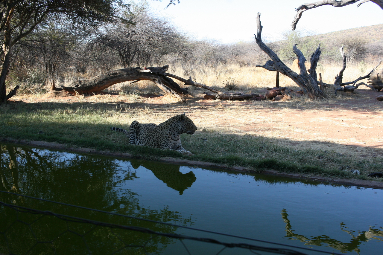 [6278] 2016_06_23_10_44_38_Africa_Canon_EOS_30D_IMG_1919_00184.jpg