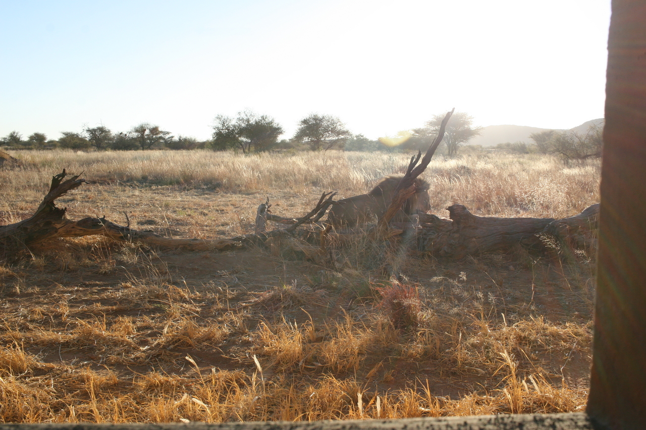 [8283] 2016_06_23_11_53_03_Africa_Canon_EOS_30D_IMG_1927_00192.jpg