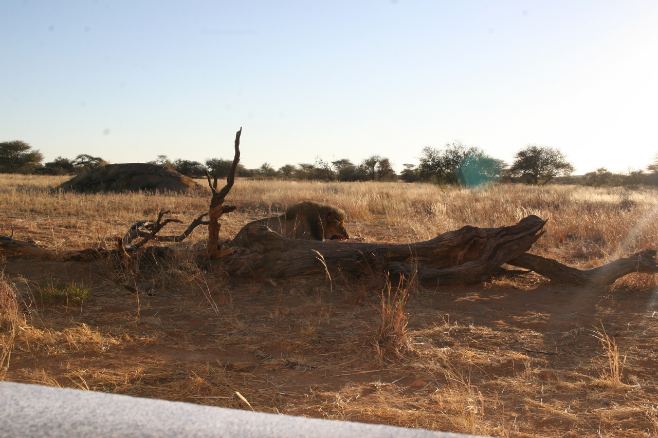 [8291] 2016_06_23_11_53_30_Africa_Canon_EOS_30D_IMG_1928_00193.jpg