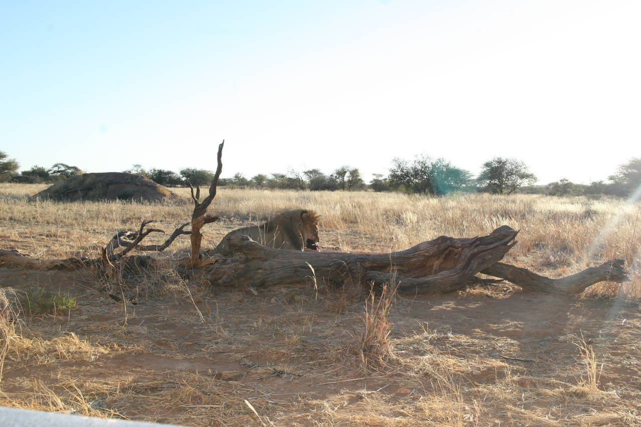 [8391] 2016_06_23_11_54_05_Africa_Canon_EOS_30D_IMG_1931_00375.jpg