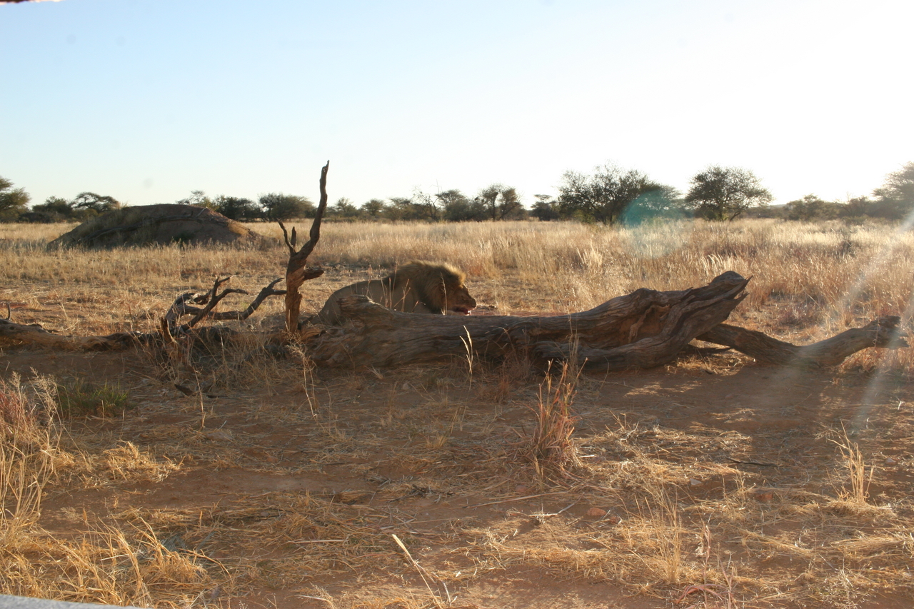 [8689] 2016_06_23_11_56_22_Africa_Canon_EOS_30D_IMG_1938_00382.jpg