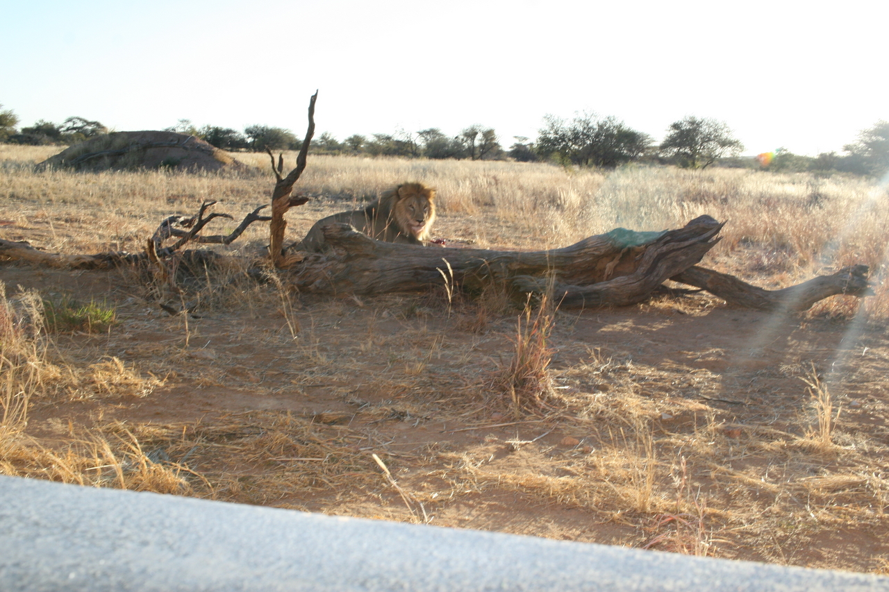 [8699] 2016_06_23_11_56_39_Africa_Canon_EOS_30D_IMG_1940_00384.jpg