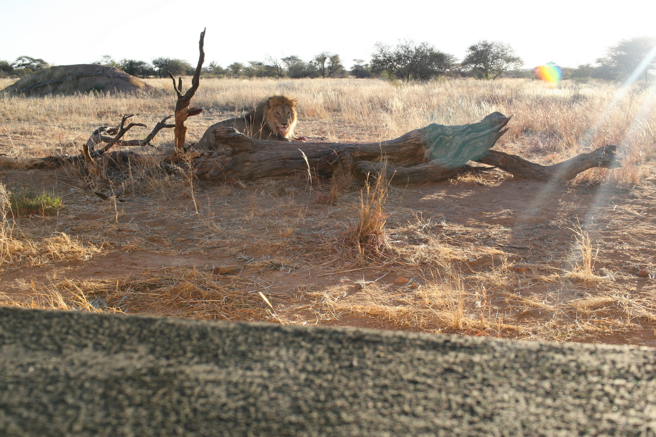 [8703] 2016_06_23_11_56_40_Africa_Canon_EOS_30D_IMG_1941_00206.jpg