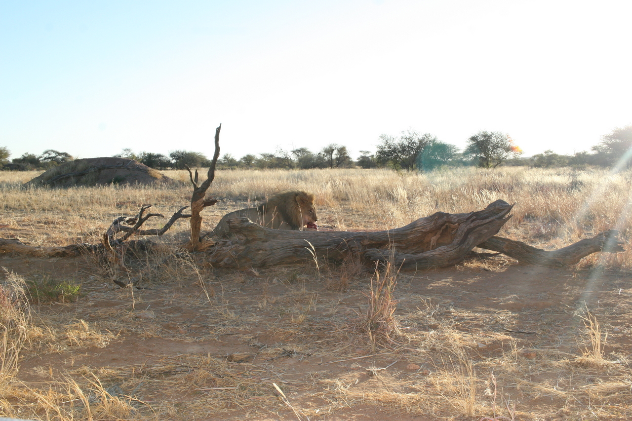 [8751] 2016_06_23_11_57_38_Africa_Canon_EOS_30D_IMG_1945_00389.jpg