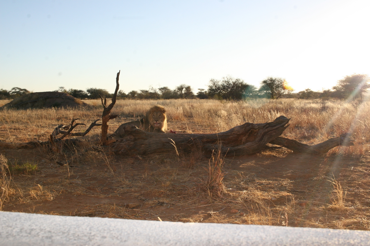 [8754] 2016_06_23_11_59_05_Africa_Canon_EOS_30D_IMG_1947_00212.jpg